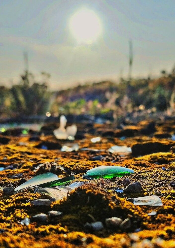 Photograph by Марина Юсупова