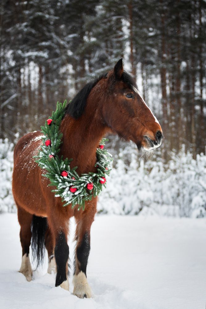 Фотография автора Anastasia Gubina