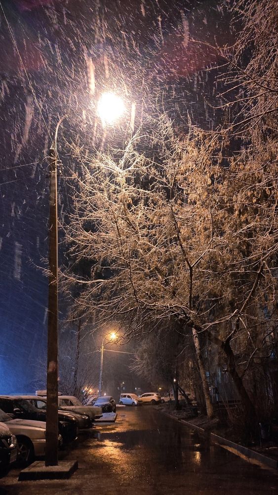 Photograph by Дарья
