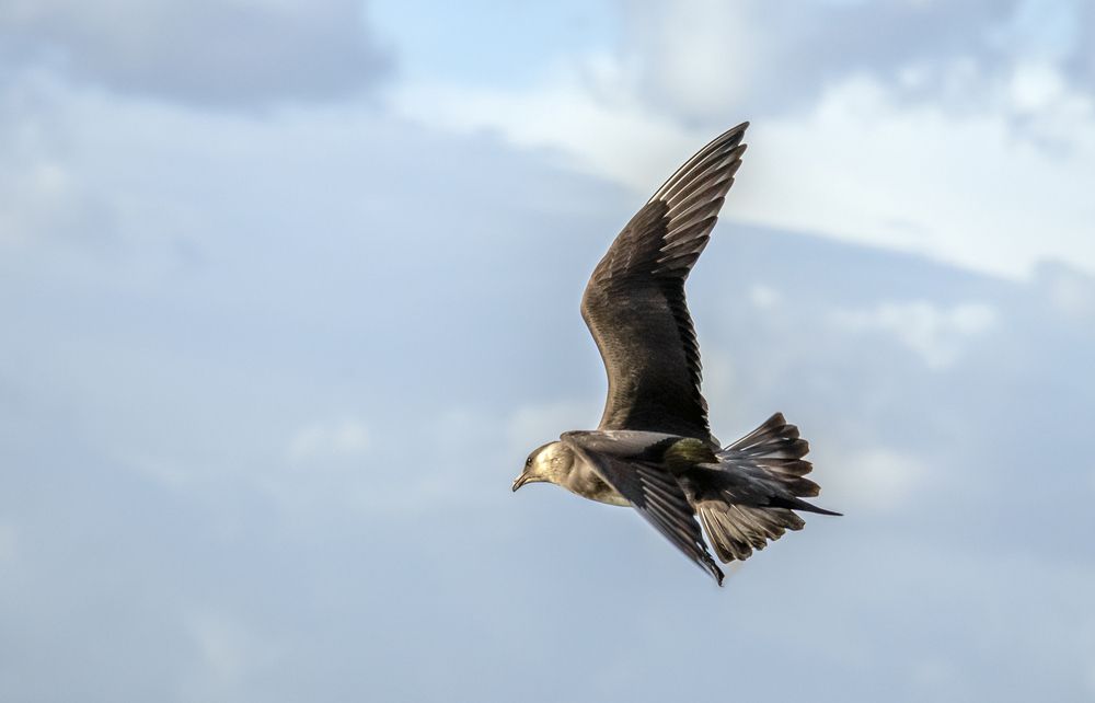 Photograph by Ismail SAIDI