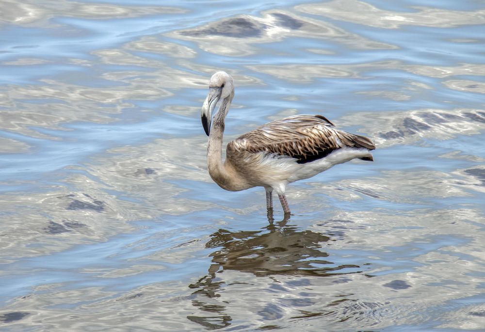 Photograph by Ismail SAIDI