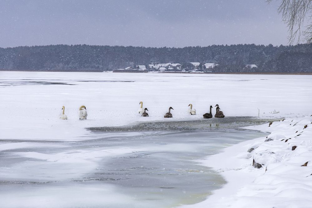 Photograph by Вадим Копилец