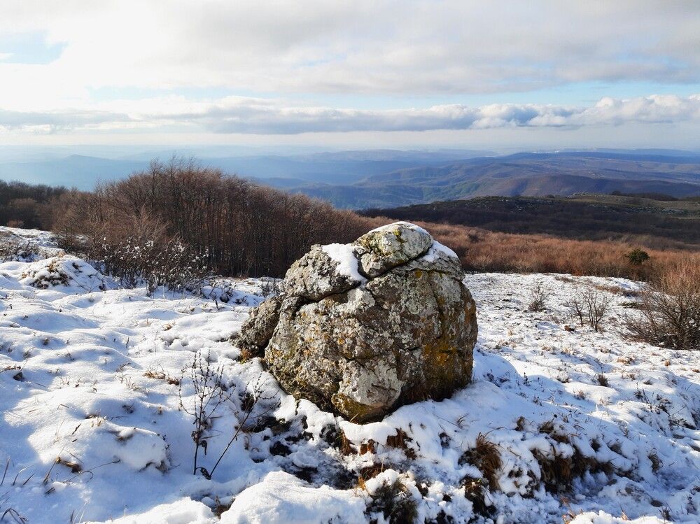 Photograph by Галина Глазкова