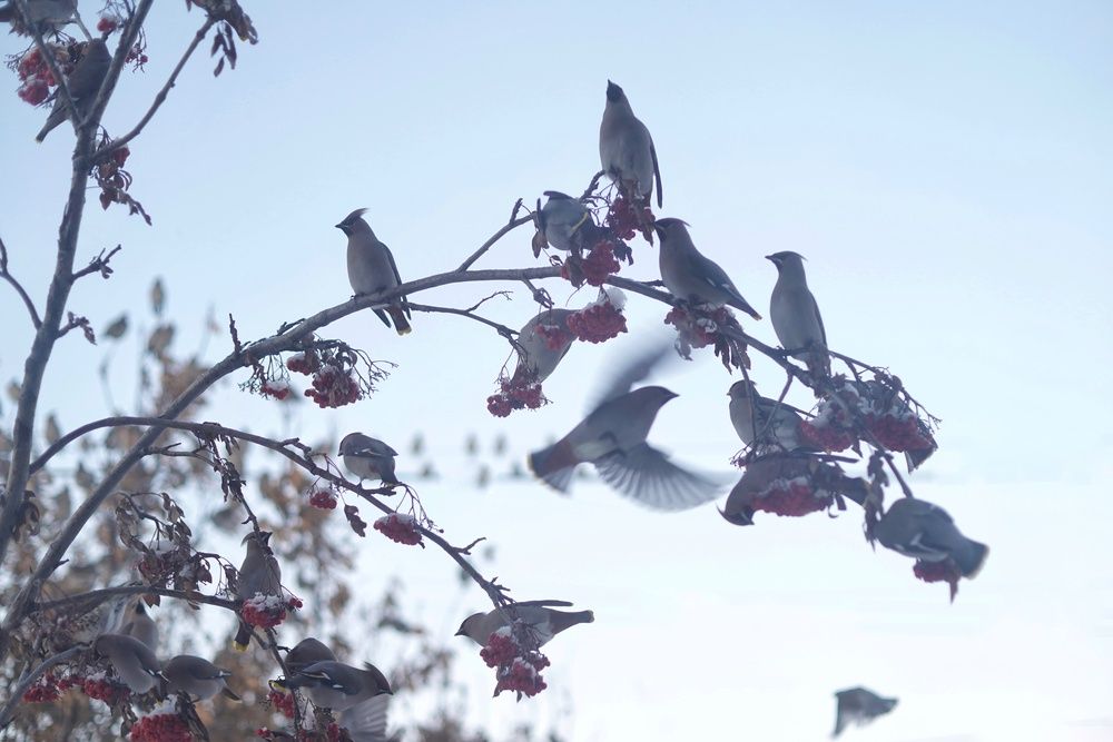 Photograph by Анастасия Позинич