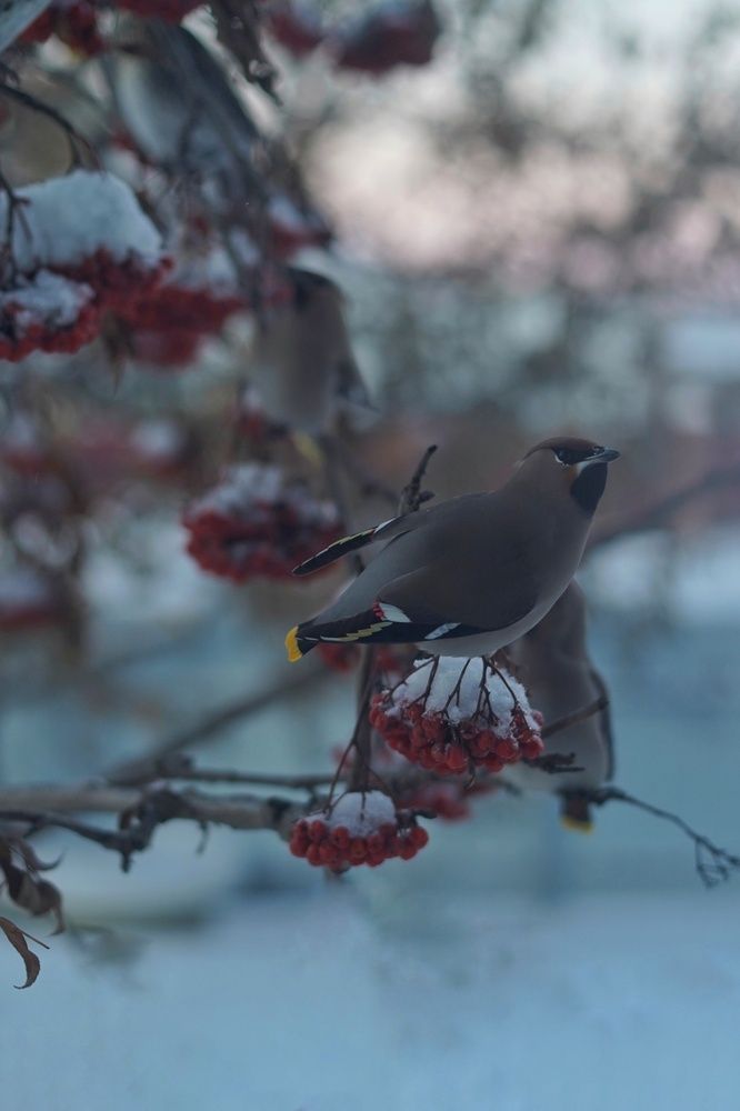 Photograph by Анастасия Позинич
