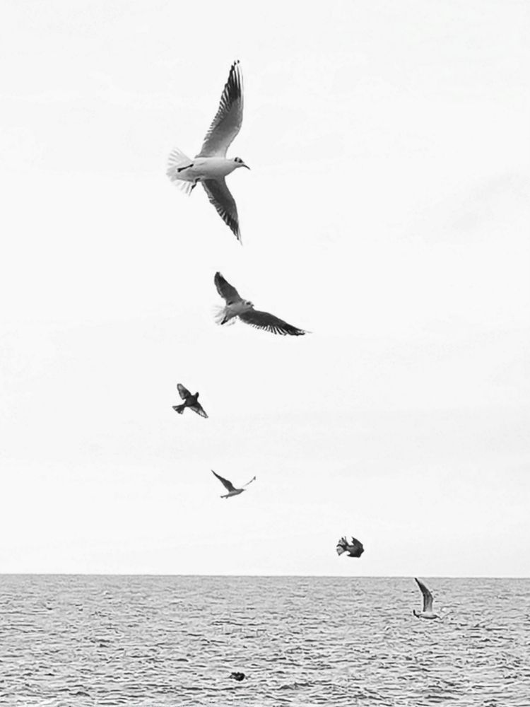 Фотография автора Tatiana Shirenko