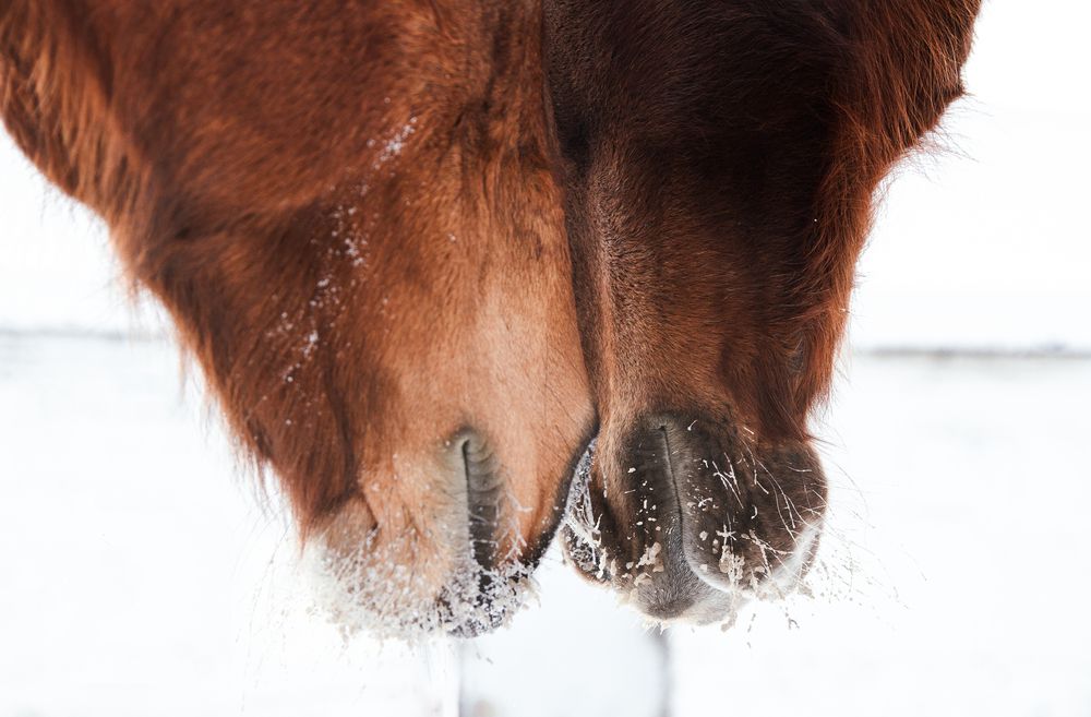 Фотография автора Yulia Orina