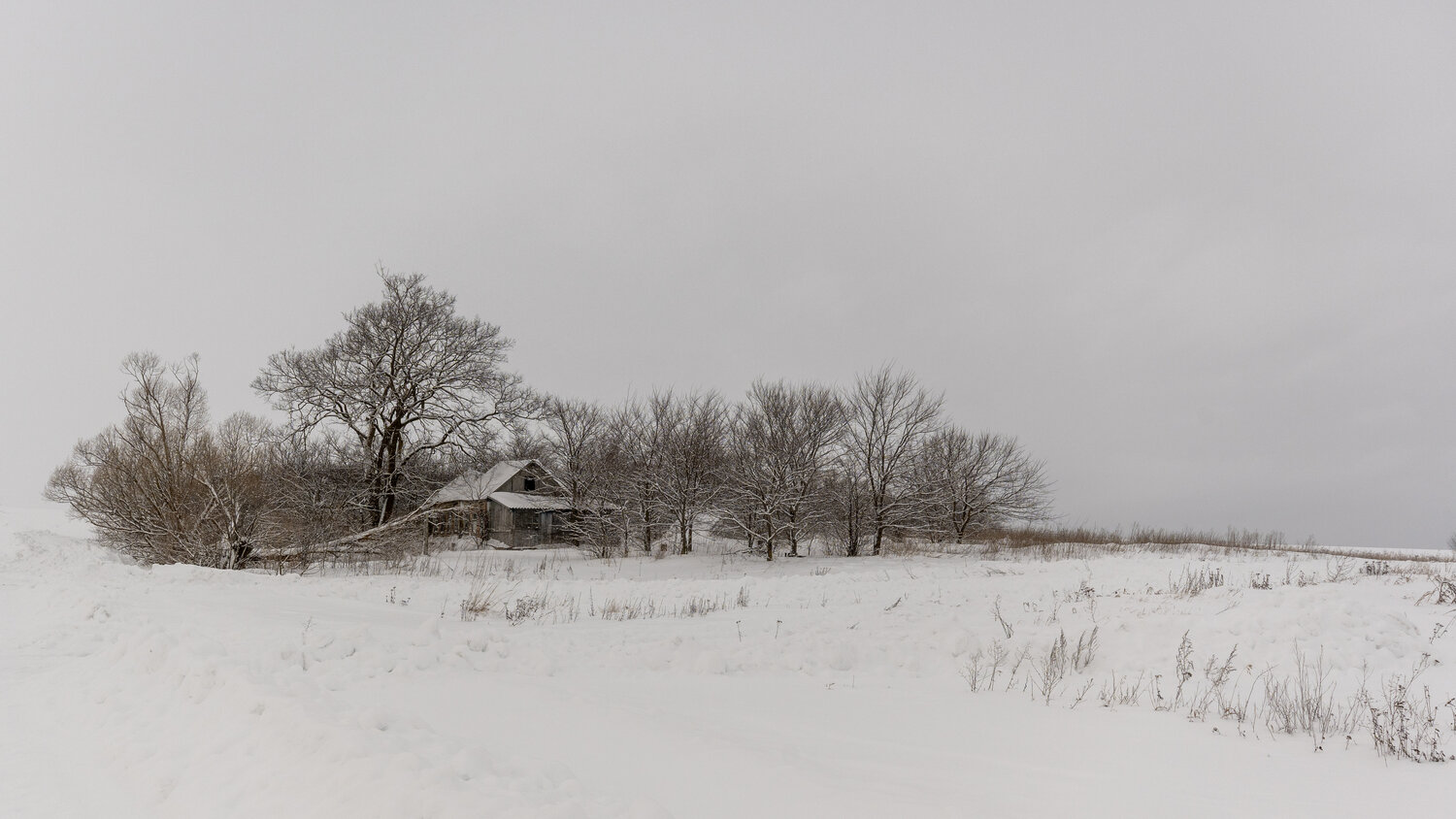 Photo #13088773