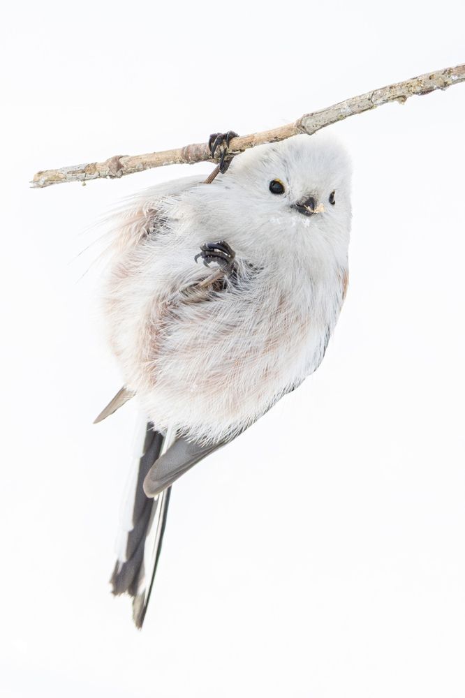 Photograph by Бурыкин Илья