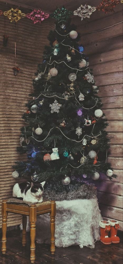 Photograph by Елена Сабирова