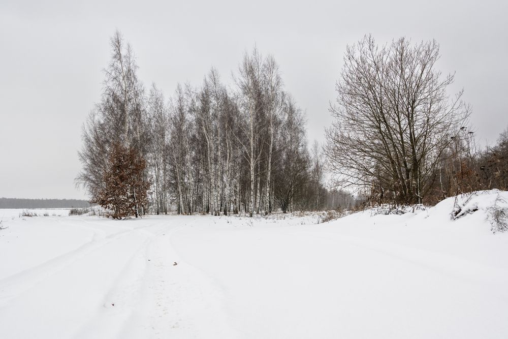 Photograph by YURIY TSARENKO