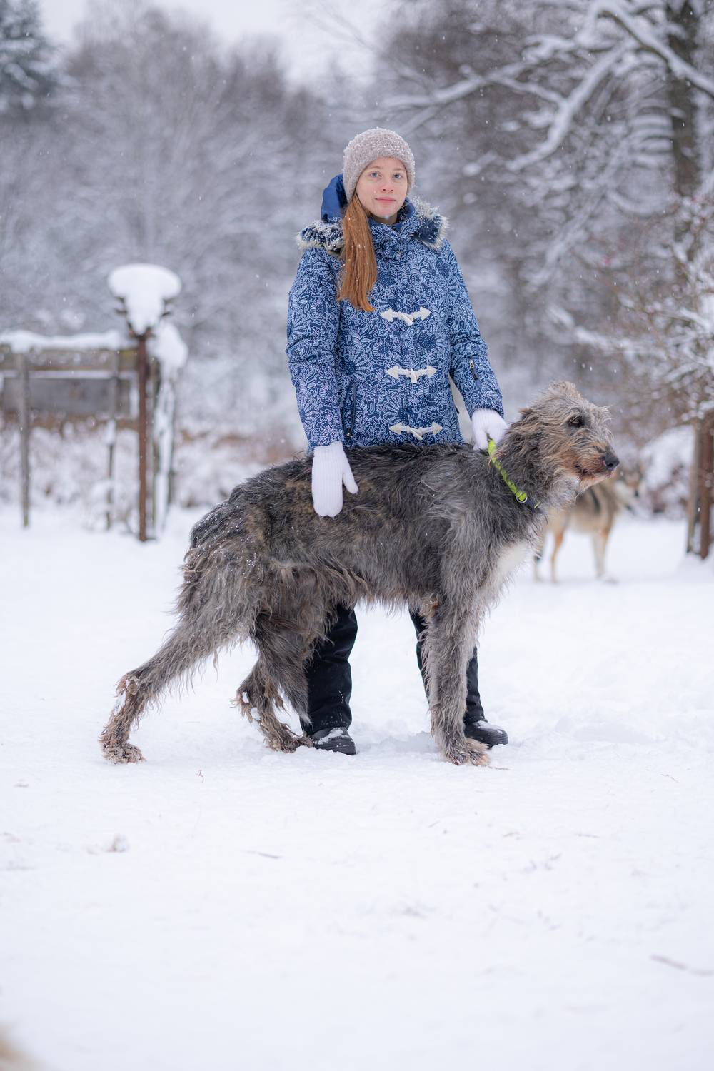 Фотография #13088796