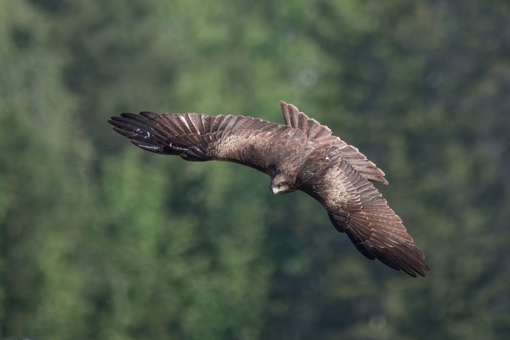 Photograph by Сергей Немцев