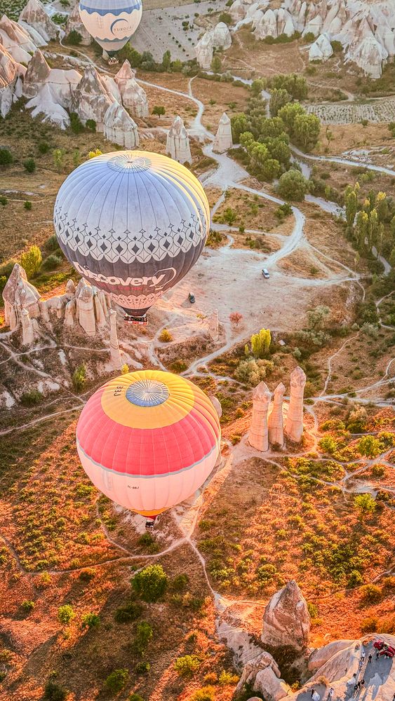 Фотография автора Андрей Груцинов
