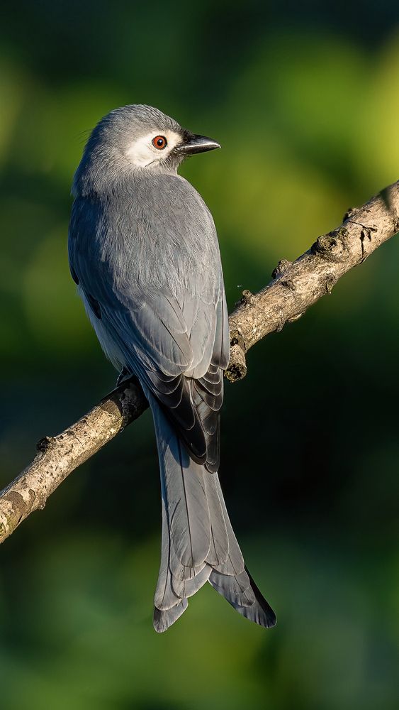 Photograph by Chau Nguyen