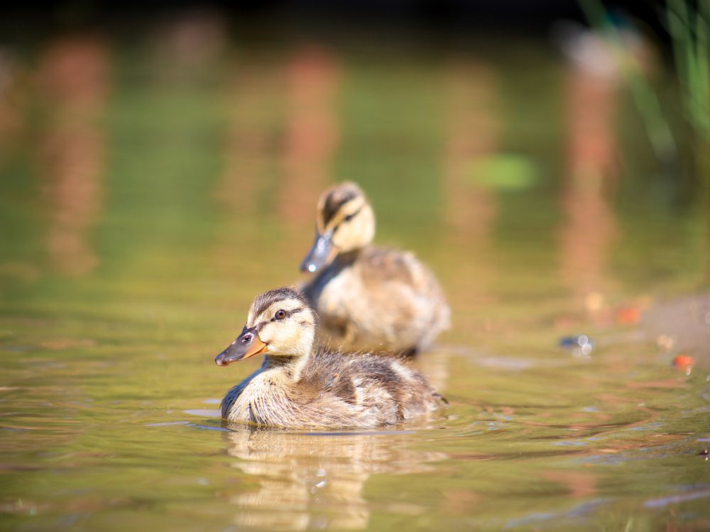 Photograph by Георгий Юркин