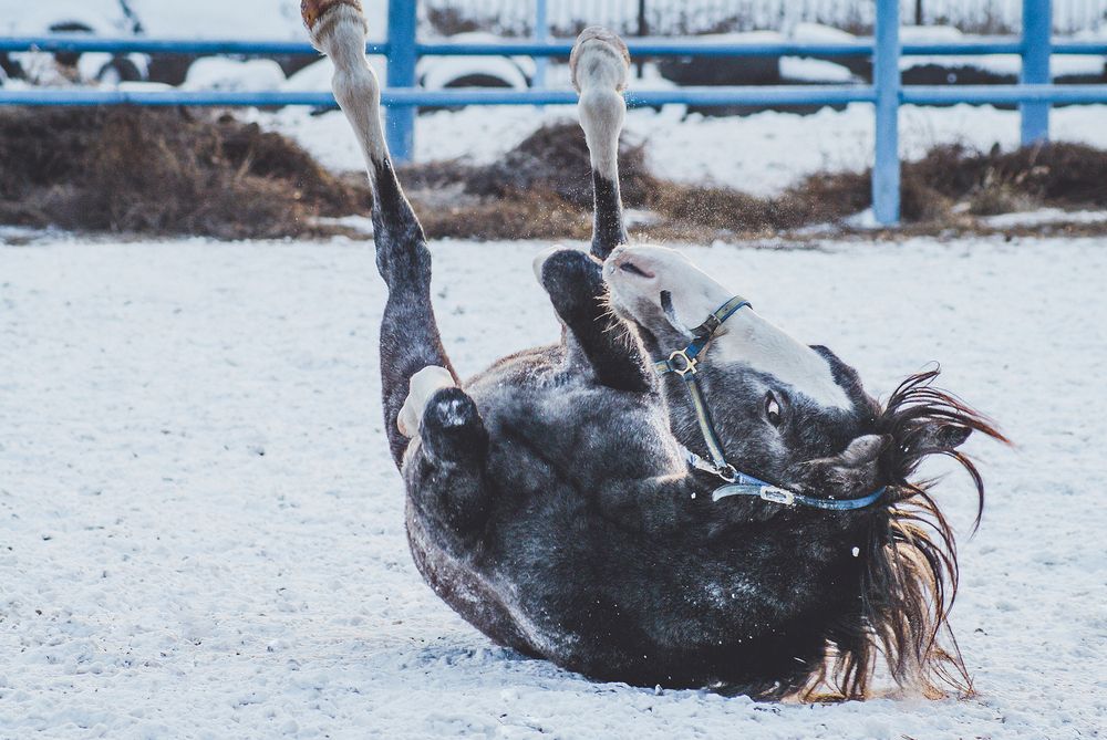 Фотография автора Yulia Orina