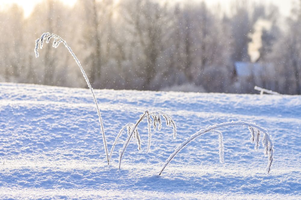 Photograph by Александра Плискова