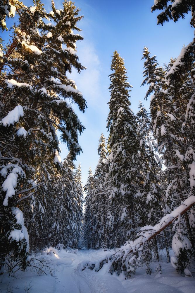 Photograph by Александра Плискова