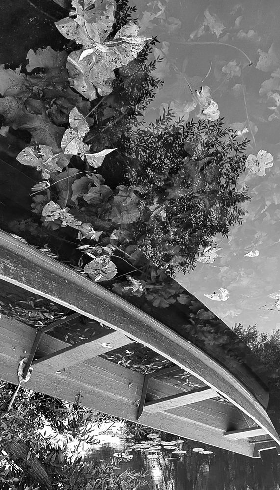 Photograph by Ольга Стоун