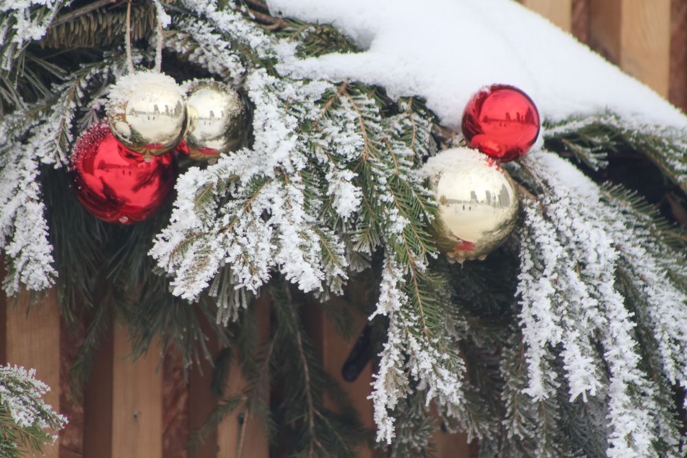 Photograph by Kim Natasha