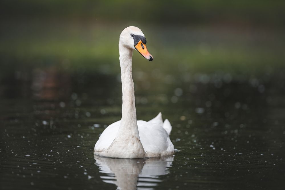 Photograph by Яна Нарбутович