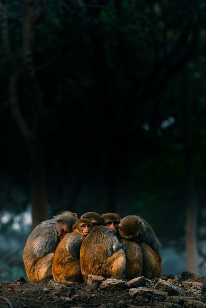 Cold mornings, warm bonds.