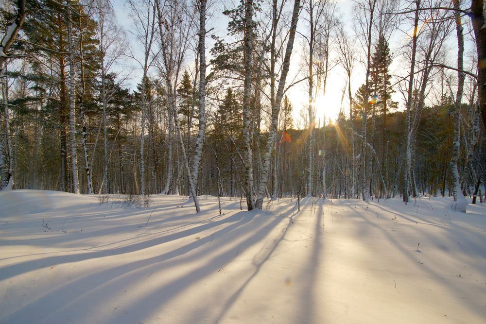 Photograph by Владимир Семиченко
