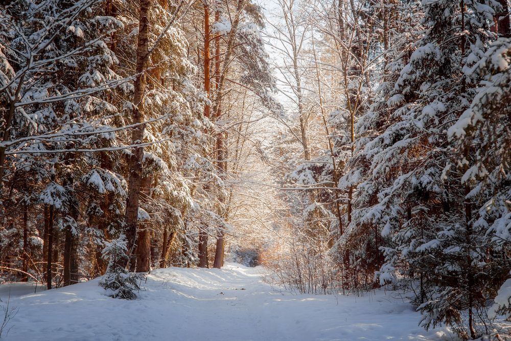 Фотография автора Онучина Юлия