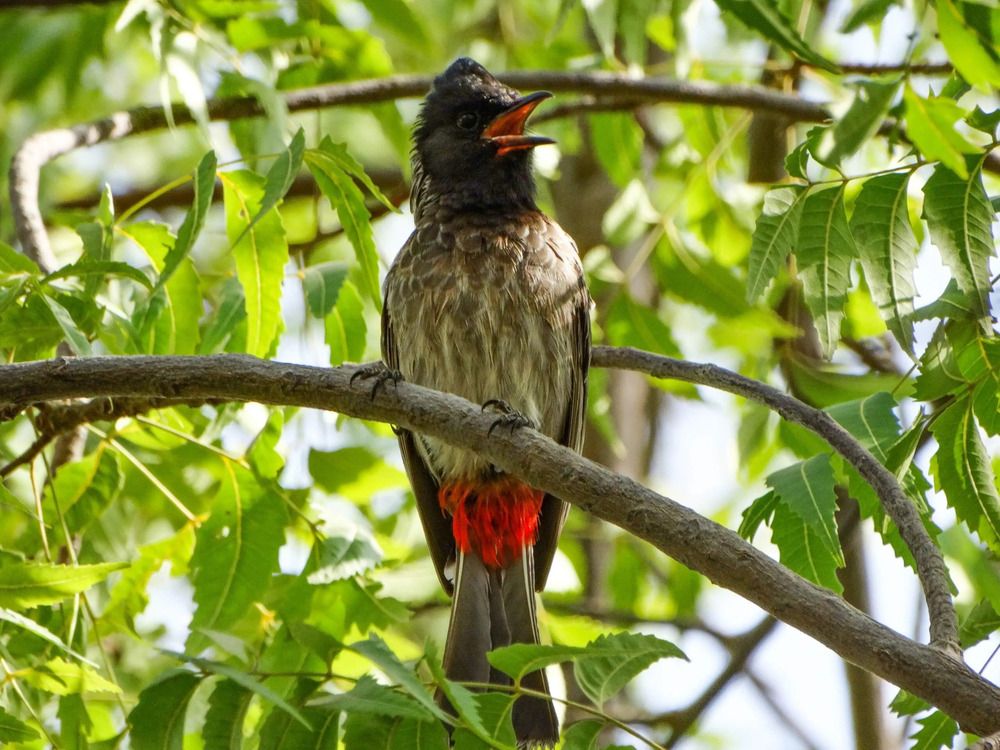 Photograph by Анжелика Трошина