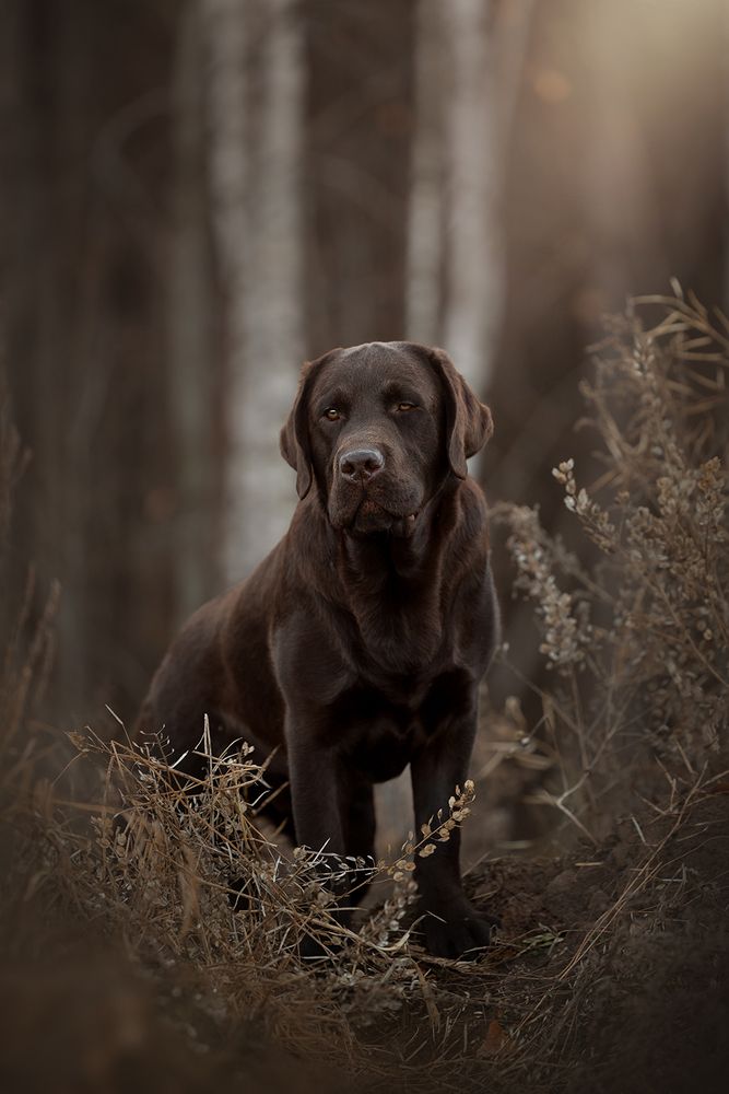 Photograph by Ольга Легенькая