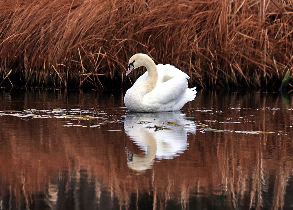 Фотография автора Александр Лазебник