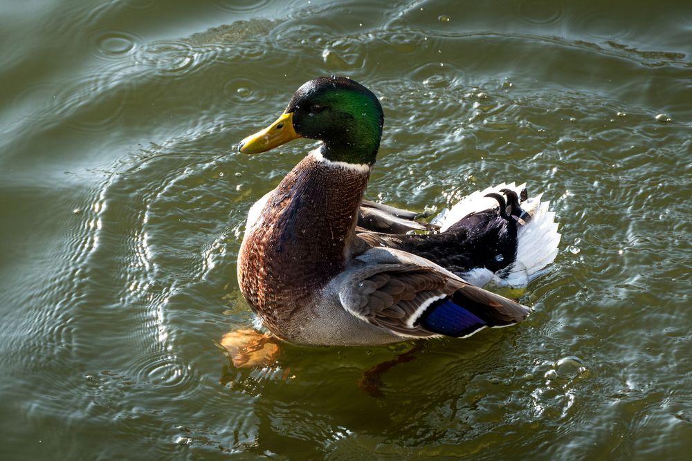 Photograph by Анастасия Богомолова