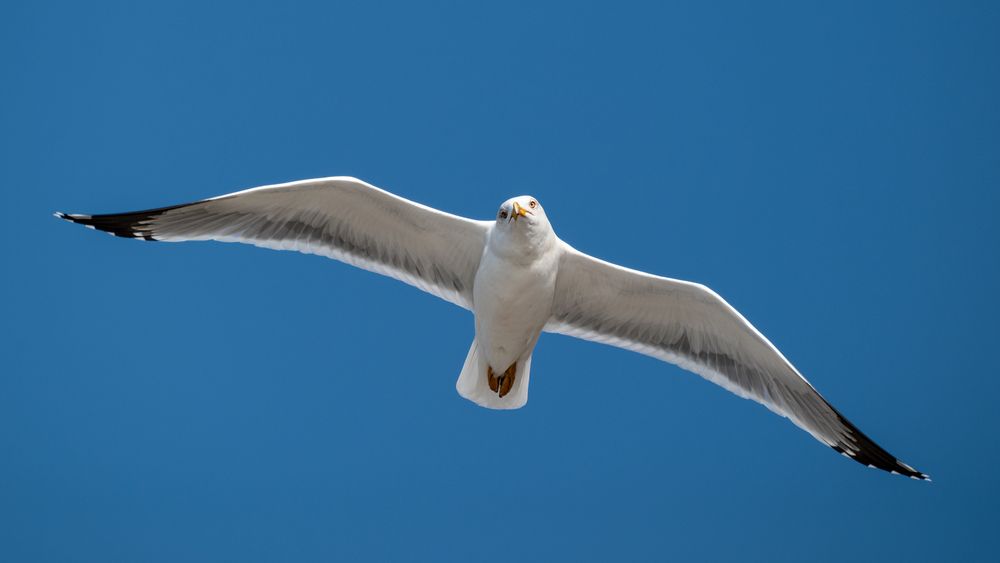 Photograph by Анастасия Богомолова