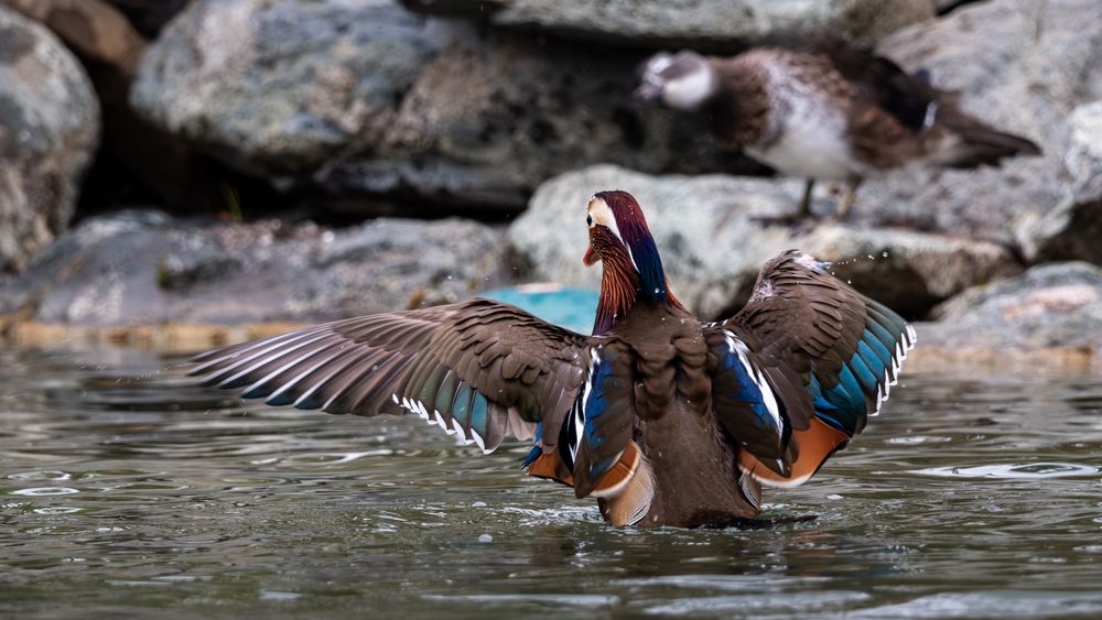 Photograph by Анастасия Богомолова