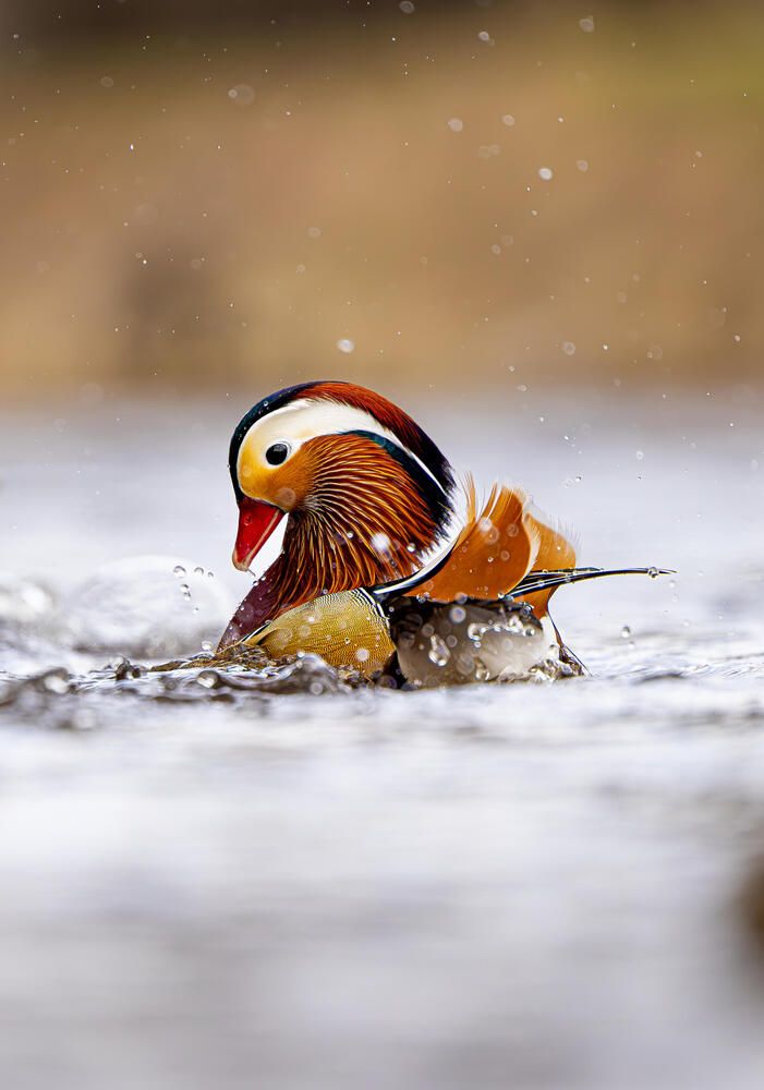 Photograph by Белов Александр