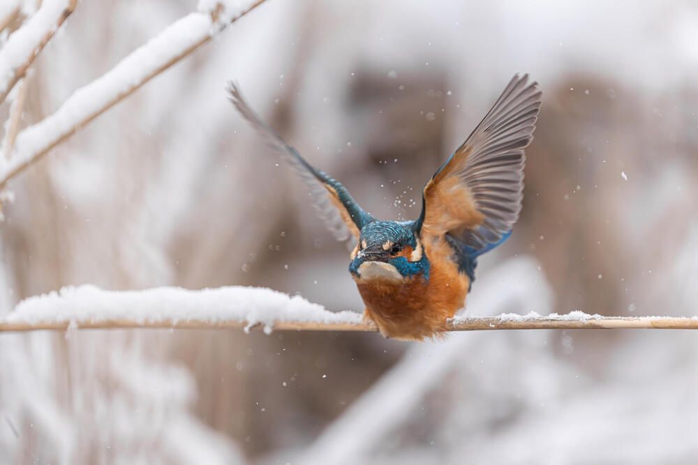 Photograph by Белов Александр