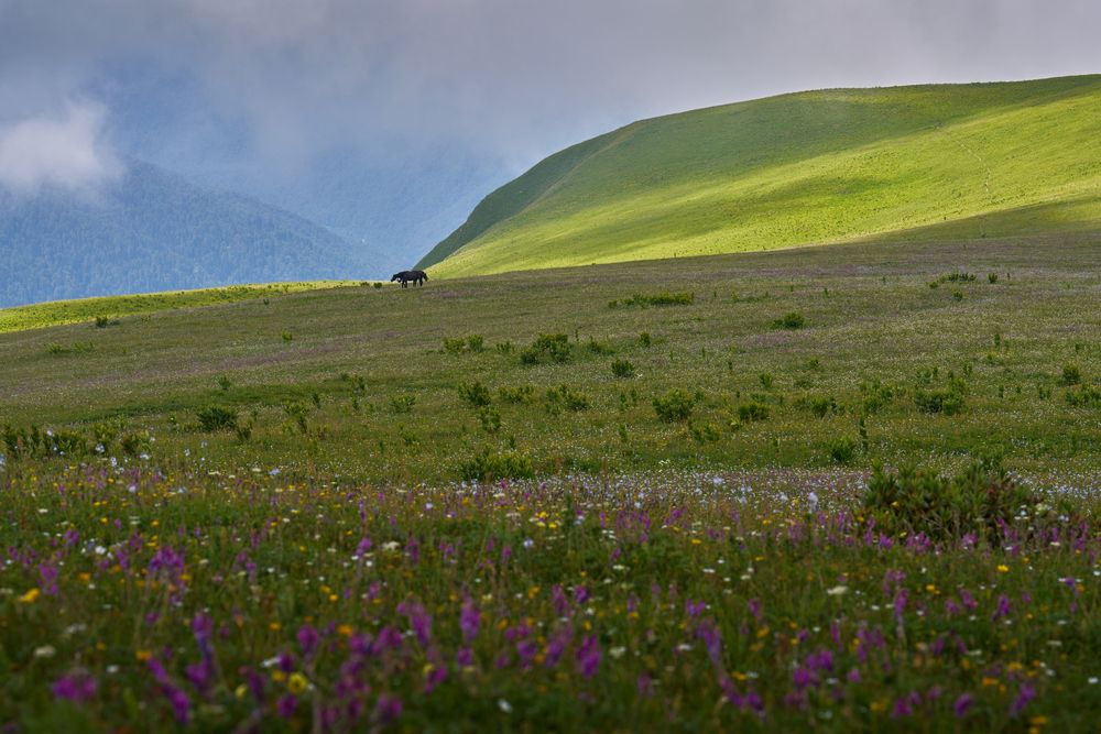 Photograph by Игорь Белов