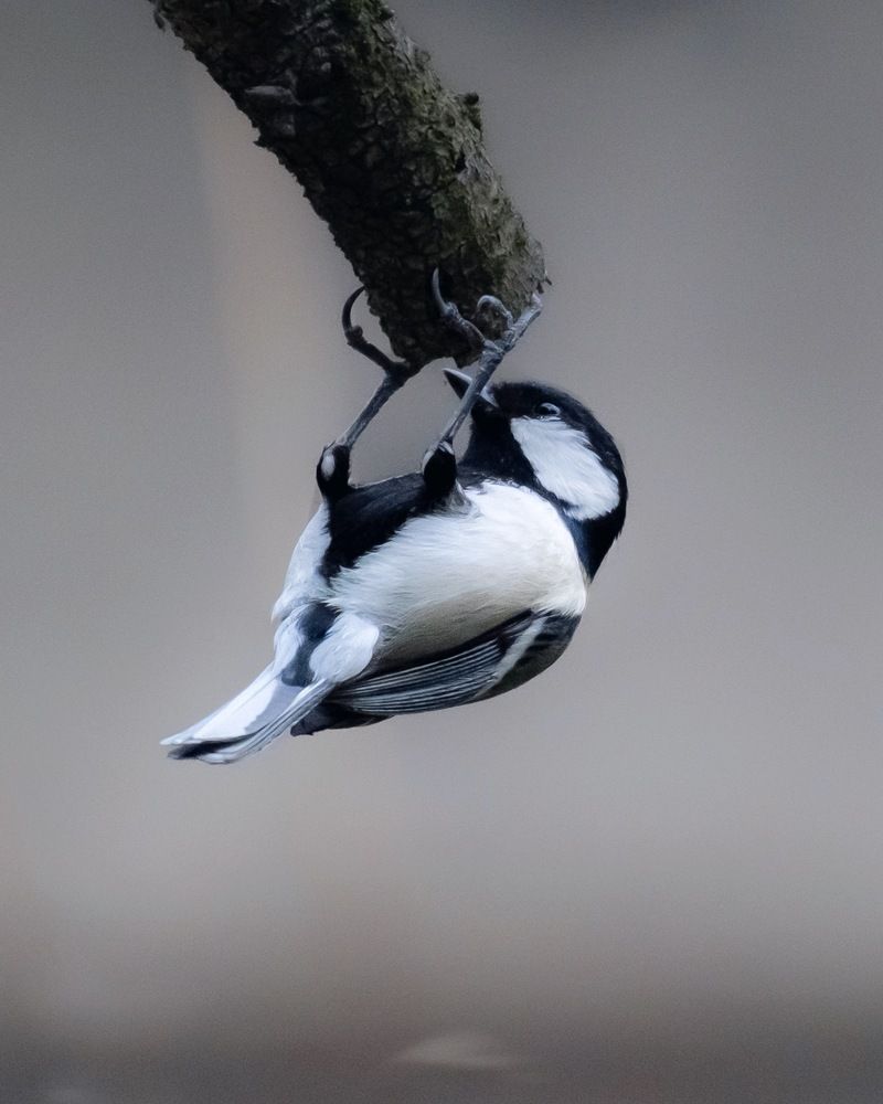 Photograph by Suto Aya