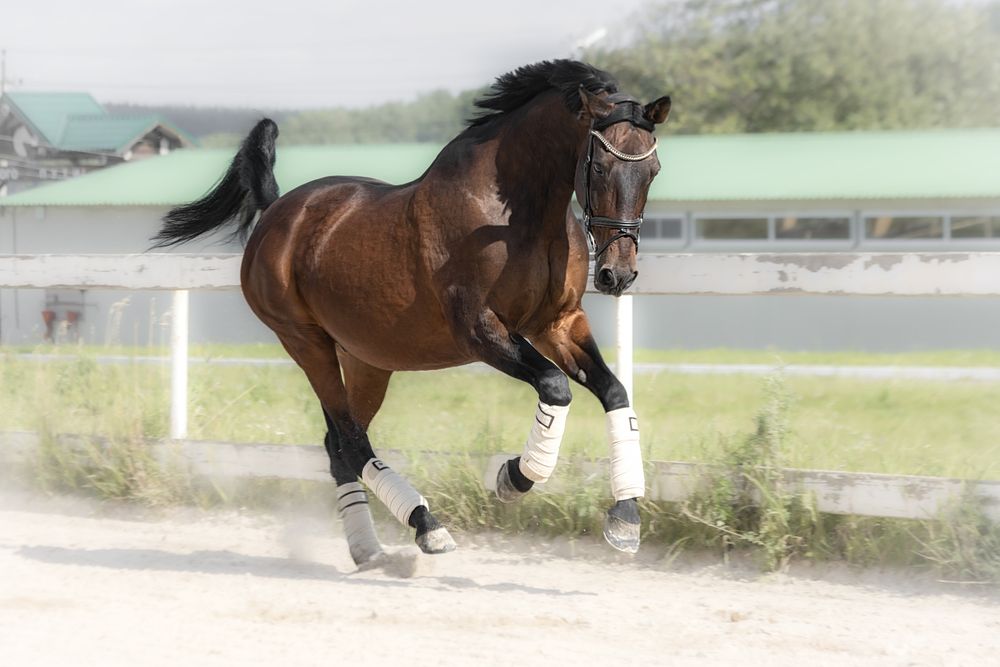 Photograph by Глухарёва Ольга