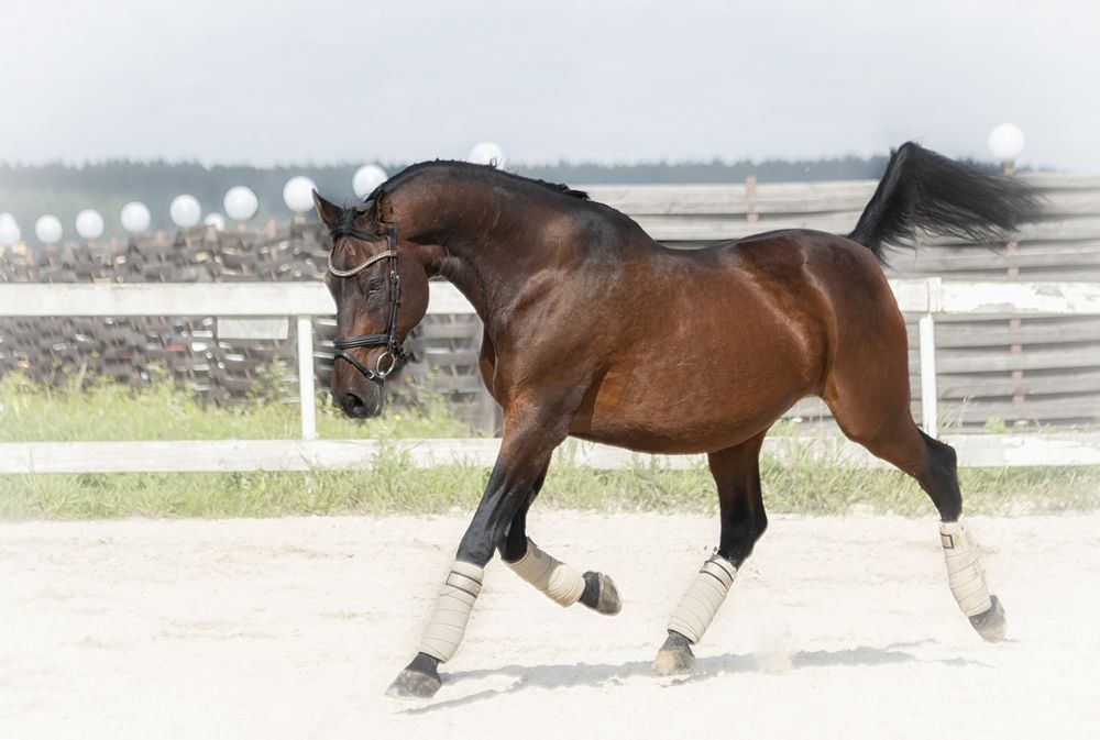 Photograph by Глухарёва Ольга