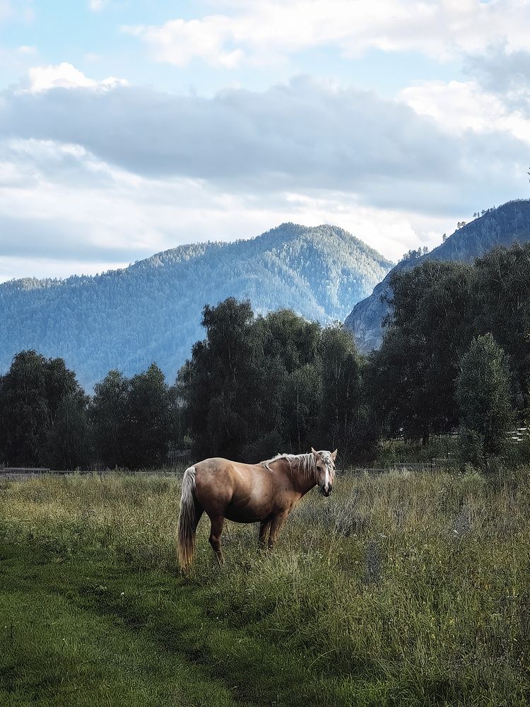 Фотография автора Звягин Сергей
