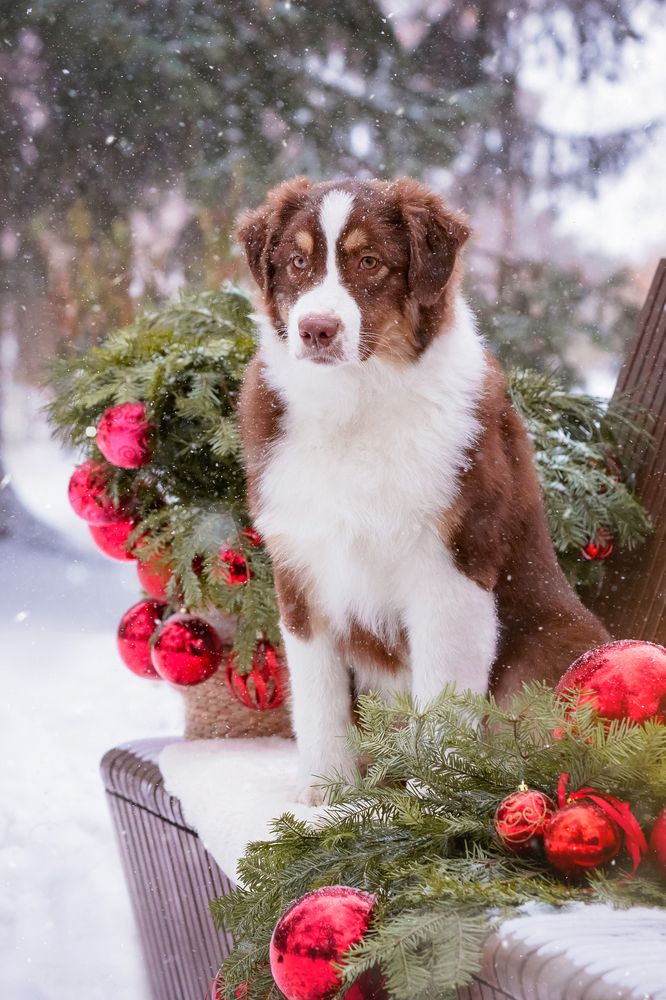 Photograph by Наталья Степанова