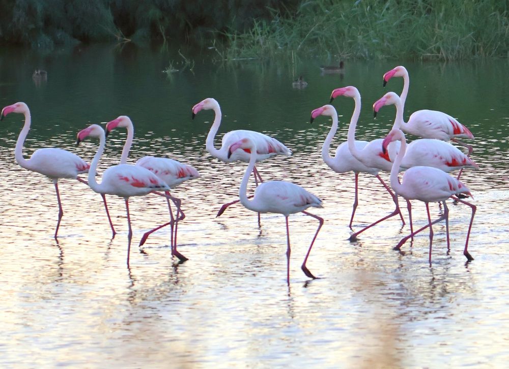 Photograph by Светлана Ханина