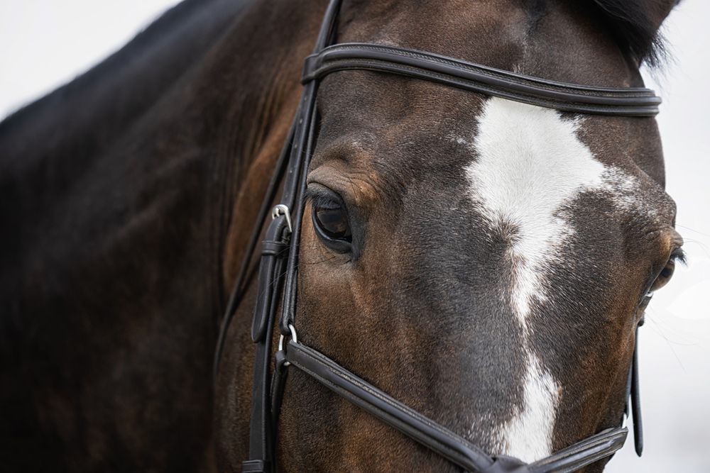 Photograph by Глухарёва Ольга