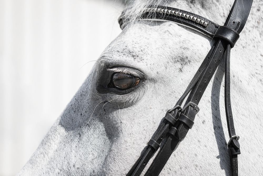 Photograph by Глухарёва Ольга