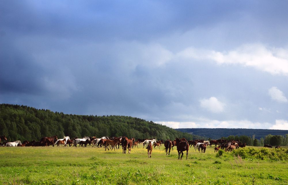 Фотография автора Yulia Orina