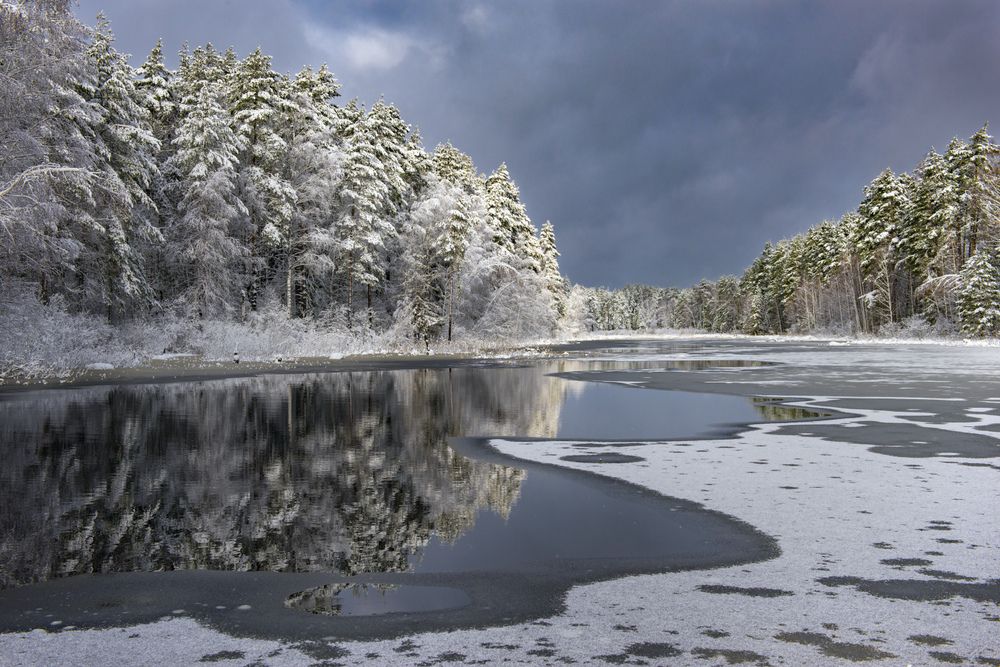 Photograph by Алексеев Дмитрий