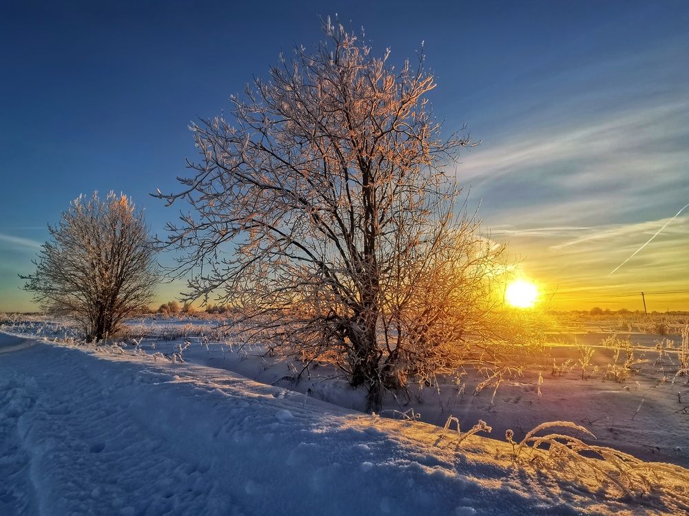 Фотография автора Андрей Шестаков