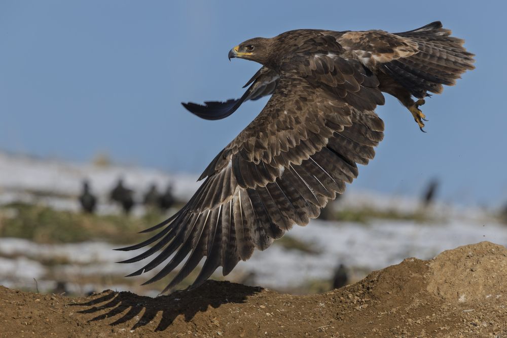 Photograph by Дмитрий Крошка